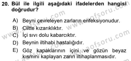 Kimya ve Biyoloji Sektörlerinde İş Sağlığı ve Güvenliği Dersi 2025 - 2026 Yılı (Vize) Ara Sınav Soruları 20. Soru