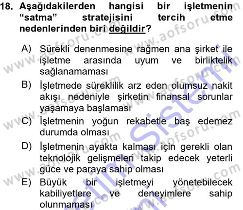Stratejik Yönetim Dersi 2015 - 2016 Yılı (Vize) Ara Sınav Soruları 18. Soru