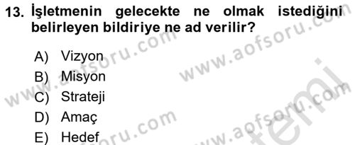 Stratejik Yönetim Dersi 2016 - 2017 Yılı (Vize) Ara Sınav Soruları 13. Soru