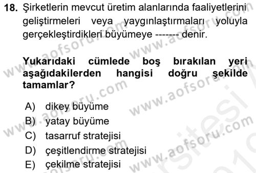 Stratejik Yönetim Dersi 2018 - 2019 Yılı (Vize) Ara Sınav Soruları 18. Soru
