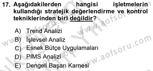 Stratejik Yönetim Dersi 2021 - 2022 Yılı Yaz Okulu Sınav Soruları 17. Soru