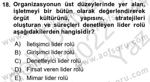 Stratejik Yönetim Dersi 2022 - 2023 Yılı Yaz Okulu Sınav Soruları 18. Soru