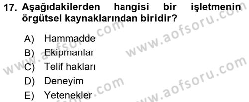 Stratejik Yönetim Dersi 2023 - 2024 Yılı (Vize) Ara Sınav Soruları 17. Soru