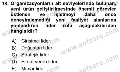 Stratejik Yönetim Dersi 2023 - 2024 Yılı Yaz Okulu Sınav Soruları 18. Soru
