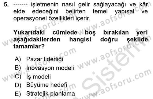 Stratejik Yönetim Dersi 2023 - 2024 Yılı Yaz Okulu Sınav Soruları 5. Soru