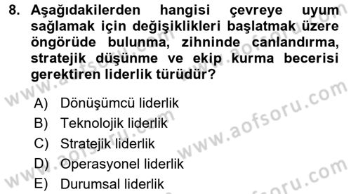 Stratejik Yönetim Dersi 2024 - 2025 Yılı (Vize) Ara Sınav Soruları 8. Soru