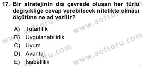 Stratejik Yönetim Dersi 2024 - 2025 Yılı Yaz Okulu Sınav Soruları 17. Soru