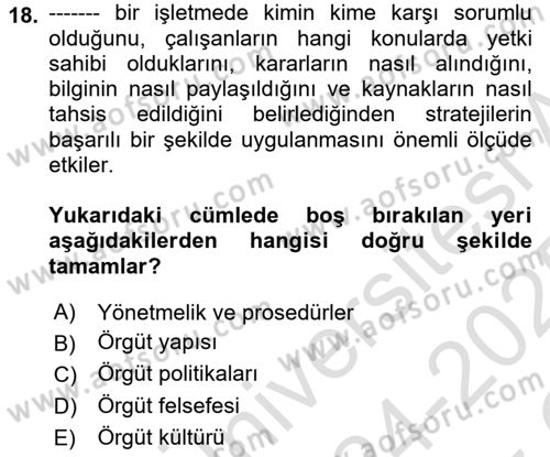 Stratejik Yönetim Dersi 2024 - 2025 Yılı Yaz Okulu Sınav Soruları 18. Soru
