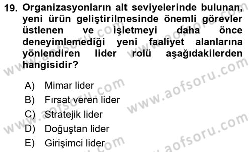 Stratejik Yönetim Dersi 2024 - 2025 Yılı Yaz Okulu Sınav Soruları 19. Soru