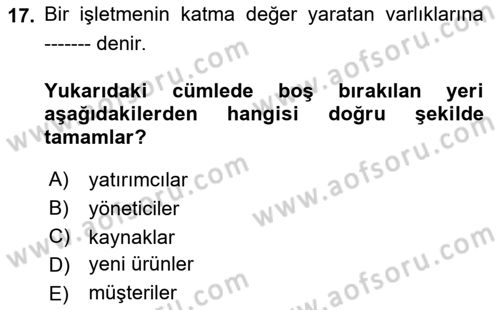 Stratejik Yönetim Dersi 2025 - 2026 Yılı (Vize) Ara Sınav Soruları 17. Soru
