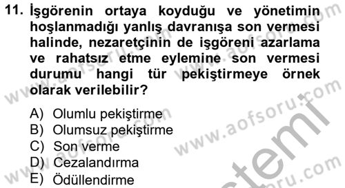 Yönetim ve Organizasyon Dersi 2012 - 2013 Yılı (Final) Dönem Sonu Sınav Soruları 11. Soru