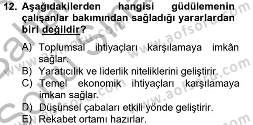 Yönetim ve Organizasyon Dersi 2012 - 2013 Yılı (Final) Dönem Sonu Sınav Soruları 12. Soru