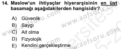 Yönetim ve Organizasyon Dersi 2015 - 2016 Yılı Tek Ders Sınav Soruları 14. Soru