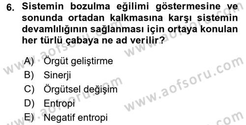 Yönetim ve Organizasyon Dersi 2016 - 2017 Yılı 3 Ders Sınav Soruları 6. Soru