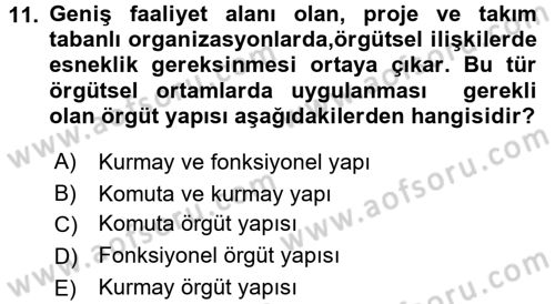 Yönetim ve Organizasyon Dersi 2016 - 2017 Yılı (Final) Dönem Sonu Sınav Soruları 11. Soru