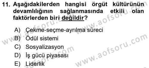 Yönetim ve Organizasyon Dersi 2018 - 2019 Yılı (Vize) Ara Sınav Soruları 11. Soru