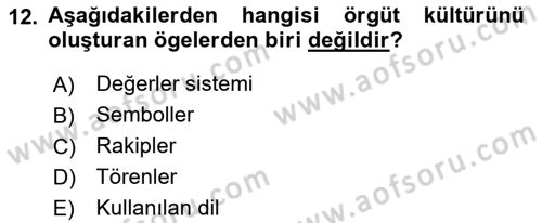 Yönetim ve Organizasyon Dersi 2018 - 2019 Yılı (Vize) Ara Sınav Soruları 12. Soru