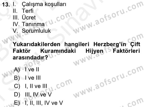Yönetim ve Organizasyon Dersi 2018 - 2019 Yılı (Final) Dönem Sonu Sınav Soruları 13. Soru