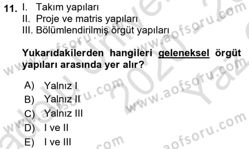 Yönetim ve Organizasyon Dersi 2020 - 2021 Yılı Yaz Okulu Sınav Soruları 11. Soru