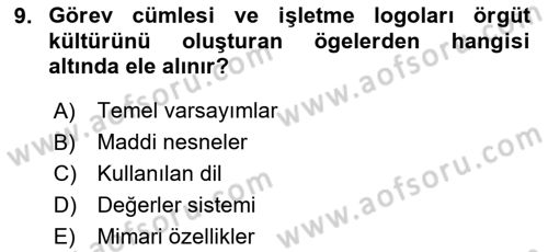 Yönetim ve Organizasyon Dersi 2020 - 2021 Yılı Yaz Okulu Sınav Soruları 9. Soru