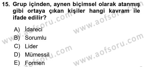 Yönetim ve Organizasyon Dersi 2023 - 2024 Yılı (Final) Dönem Sonu Sınav Soruları 15. Soru