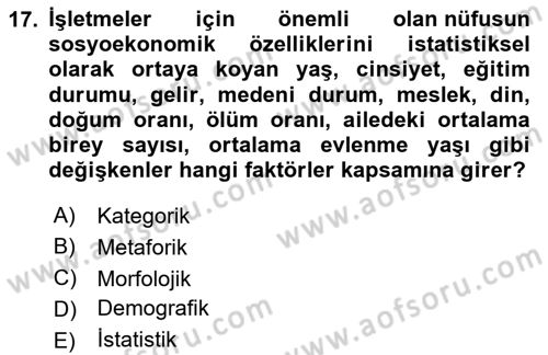 Yönetim ve Organizasyon Dersi 2024 - 2025 Yılı (Vize) Ara Sınav Soruları 17. Soru