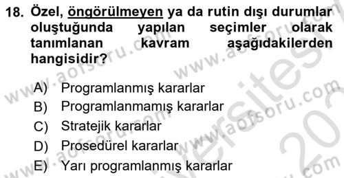 Yönetim ve Organizasyon Dersi 2024 - 2025 Yılı (Vize) Ara Sınav Soruları 18. Soru