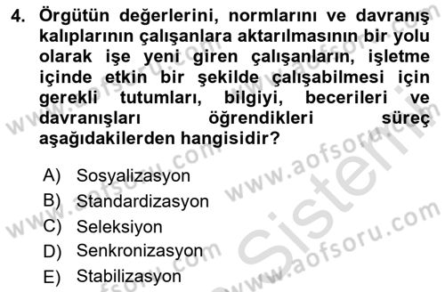 Yönetim ve Organizasyon Dersi 2024 - 2025 Yılı (Final) Dönem Sonu Sınav Soruları 4. Soru