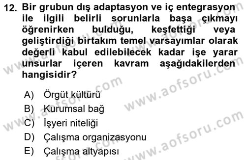 Yönetim ve Organizasyon Dersi 2025 - 2026 Yılı (Vize) Ara Sınav Soruları 12. Soru