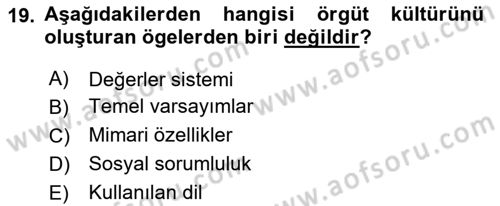 Yönetim ve Organizasyon Dersi 2025 - 2026 Yılı (Vize) Ara Sınav Soruları 19. Soru