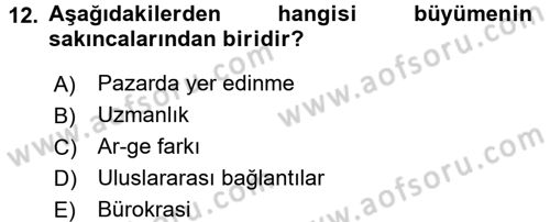 İşletme İlkeleri Dersi 2016 - 2017 Yılı 3 Ders Sınav Soruları 12. Soru