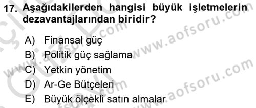İşletme İlkeleri Dersi 2022 - 2023 Yılı (Vize) Ara Sınav Soruları 17. Soru