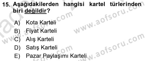 İşletme İlkeleri Dersi 2023 - 2024 Yılı Yaz Okulu Sınav Soruları 15. Soru