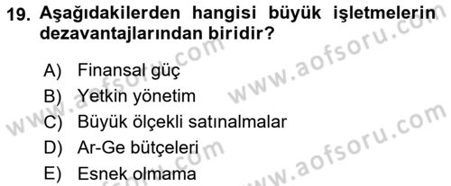 İşletme İlkeleri Dersi 2024 - 2025 Yılı (Vize) Ara Sınav Soruları 19. Soru