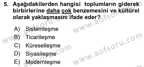 İşletme İlkeleri Dersi 2024 - 2025 Yılı (Vize) Ara Sınav Soruları 5. Soru