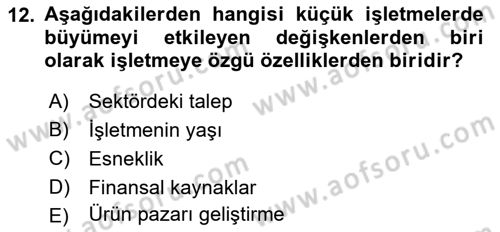 İşletme İlkeleri Dersi 2024 - 2025 Yılı Yaz Okulu Sınav Soruları 12. Soru