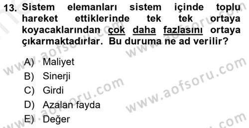 İşletme Fonksiyonları Dersi 2018 - 2019 Yılı (Vize) Ara Sınavı 13. Soru