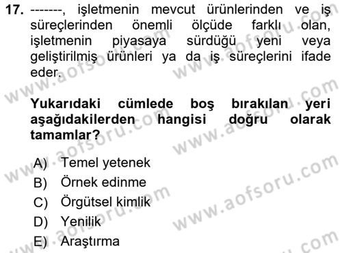 İşletme Fonksiyonları Dersi 2024 - 2025 Yılı Yaz Okulu Sınav Soruları 17. Soru