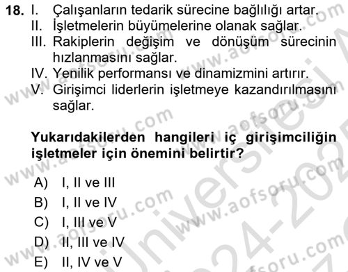İşletme Fonksiyonları Dersi 2024 - 2025 Yılı Yaz Okulu Sınav Soruları 18. Soru