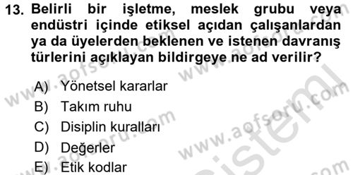 Genel İşletme Dersi 2017 - 2018 Yılı (Vize) Ara Sınavı 13. Soru