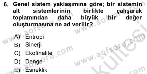 Genel İşletme Dersi 2025 - 2026 Yılı (Vize) Ara Sınav Soruları 6. Soru