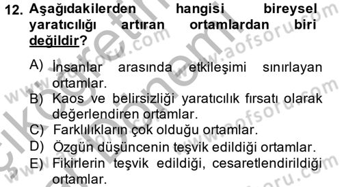 Girişimcilik Dersi 2012 - 2013 Yılı (Vize) Ara Sınav Soruları 12. Soru