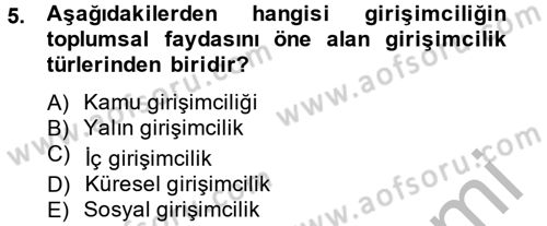 Girişimcilik Dersi 2012 - 2013 Yılı (Vize) Ara Sınav Soruları 5. Soru