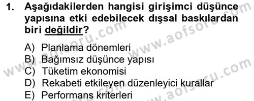 Girişimcilik Dersi 2012 - 2013 Yılı (Final) Dönem Sonu Sınav Soruları 1. Soru