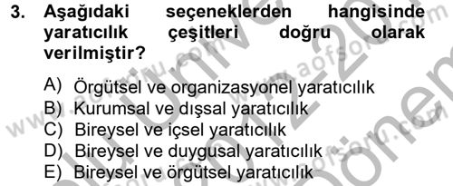 Girişimcilik Dersi 2012 - 2013 Yılı (Final) Dönem Sonu Sınav Soruları 3. Soru