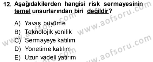 Girişimcilik Dersi 2013 - 2014 Yılı (Final) Dönem Sonu Sınav Soruları 12. Soru
