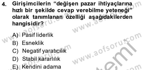 Girişimcilik Dersi 2014 - 2015 Yılı (Vize) Ara Sınav Soruları 4. Soru