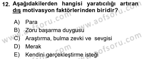 Girişimcilik Dersi 2015 - 2016 Yılı (Vize) Ara Sınav Soruları 12. Soru