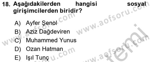 Girişimcilik Dersi 2016 - 2017 Yılı 3 Ders Sınav Soruları 18. Soru