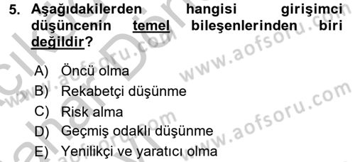Girişimcilik Dersi 2016 - 2017 Yılı (Vize) Ara Sınav Soruları 5. Soru